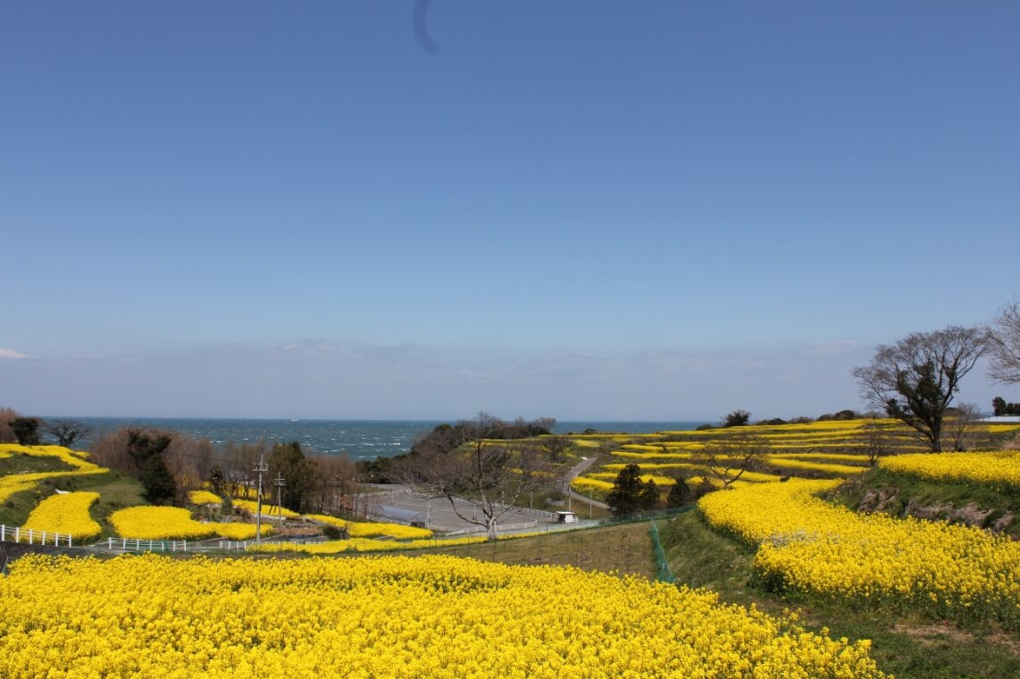 豊後高田市の様子